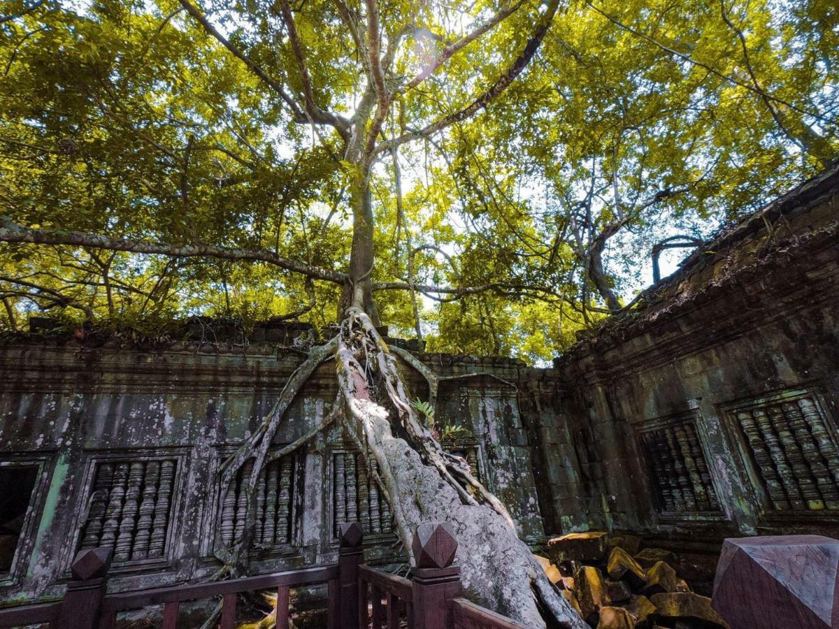 Anachak Angkor Residence Siem Reap Zewnętrze zdjęcie